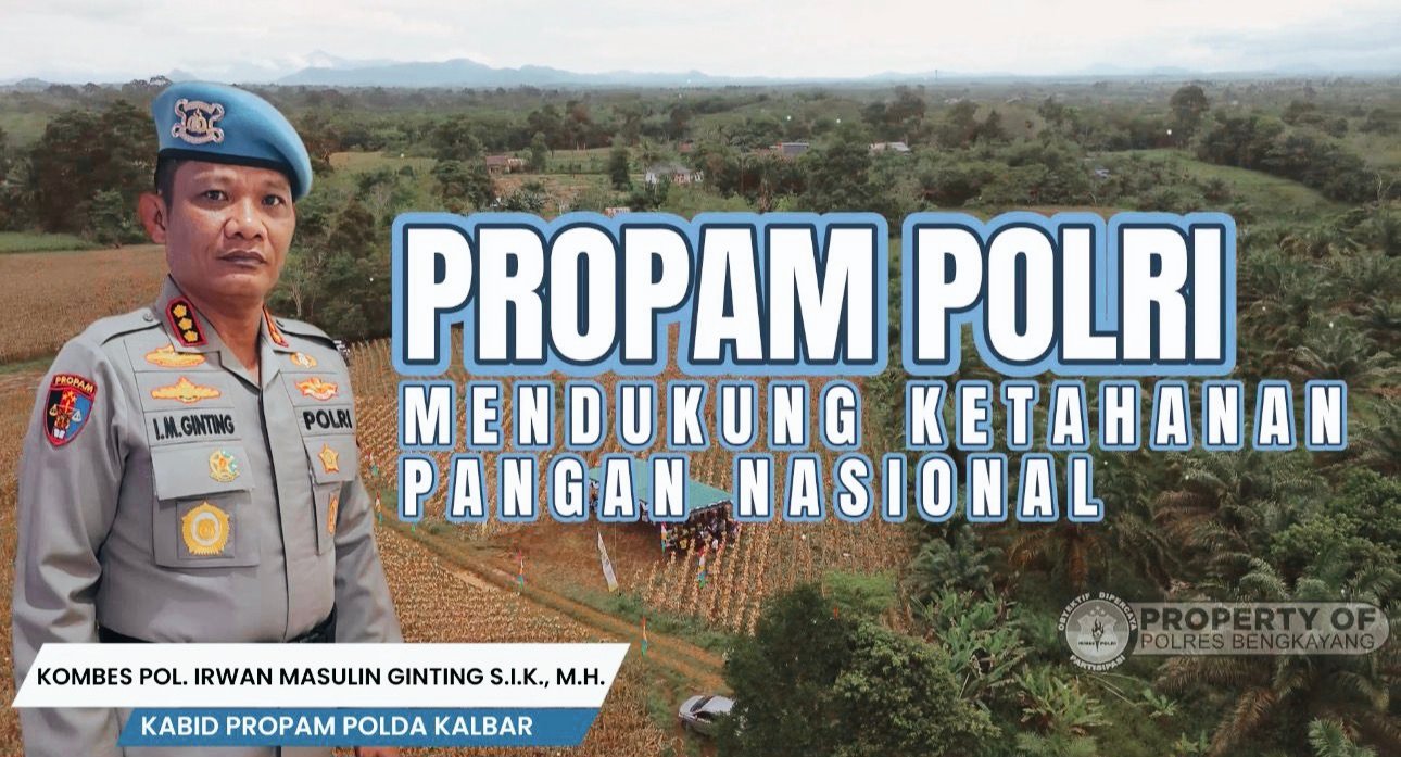 Bidpropam Polda Kalbar Turun ke Kebun, Panen Jagung Bersama Petani