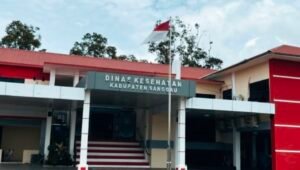 Chikungunya Merebak di Sanggau, Ini Gejala yang Harus Diwaspadai