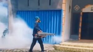 Dinkes Sanggau: Pemberantasan Sarang Nyamuk Kunci Cegah Chikungunya