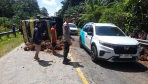 Truk Sawit Terbalik di Jalur Batang Tarang-Tayan Hulu, Ini Penyebabnya