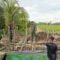 IMG 20260630 WA0038