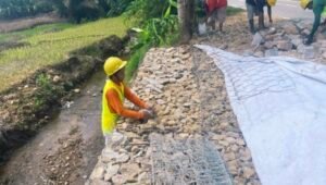 Disorot Negatif, Proyek Bronjong Semade Justru Dinilai Bermanfaat Bagi Warga